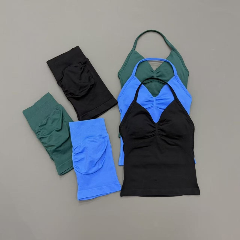 2 Piece Gym Set Women Seamless - Running Gear Women review and price