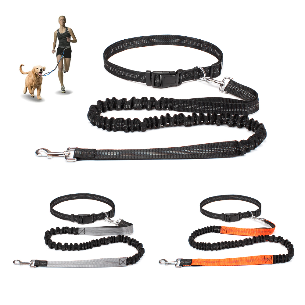 Hand Free Dog Leash for Pet Wa - Running Jogging Gear review and price
