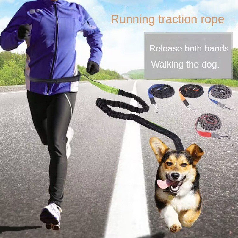 Hand Free Dog Leash for Pet Wa - Running Jogging Gear review and price