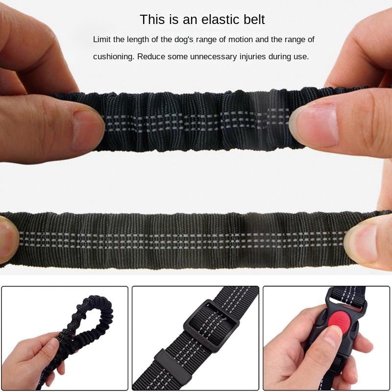 Hand Free Dog Leash for Pet Wa - Running Jogging Gear review and price