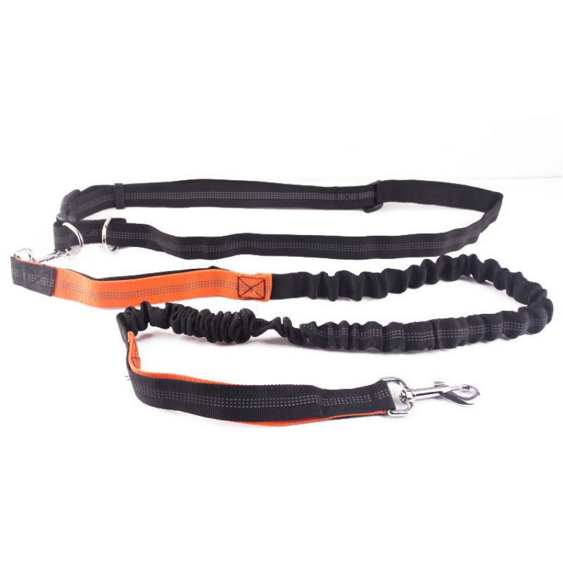 Hand Free Dog Leash for Pet Wa - Running Jogging Gear review and price