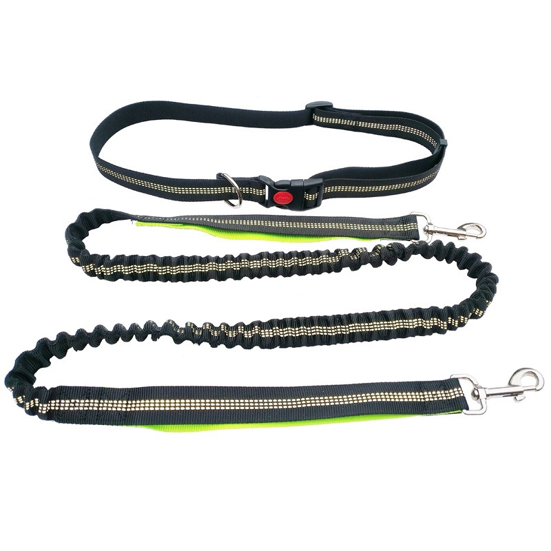 Hand Free Dog Leash for Pet Wa - Running Jogging Gear review and price